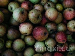 手工制作水果拼盘图片，手工制作水果拼盘