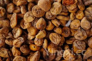 鹰嘴豆图片 植物图片，鹰嘴豆