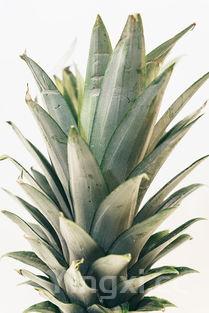 粽子的做法和配料图片,粽子大全简单又漂亮