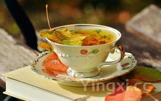 自制奶茶的注意事项，自制奶茶的注意事项和禁忌