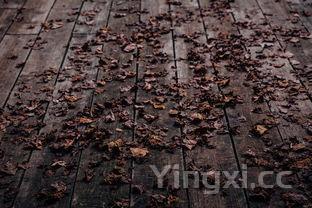 酿造白酒用什么石头,这些石头在白酒酿造中起着关键作用