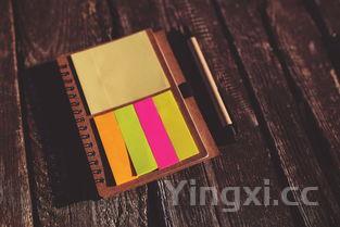 白酒到底能不能腐蚀塑料袋？真相大揭秘！