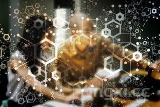 中国白酒数据怎么搜,快速获取精准信息的方法大揭秘