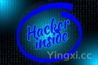 中国白酒数据怎么搜,快速获取精准信息的方法大揭秘