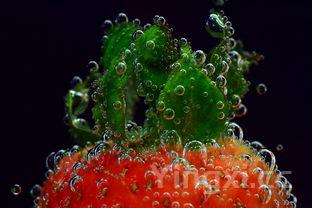 夏天泡腊八蒜的方法，夏天泡腊八蒜的方法窍门