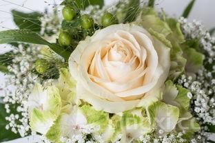 小葱拌豆腐歇后语下一句，小葱拌豆腐歇后语