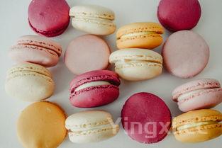 只用纯牛奶和鸡蛋怎么做甜品，只用鸡蛋和纯牛奶做的甜品