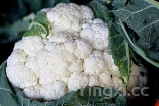 菜花的做法家常做法，菜花的8种家常做法