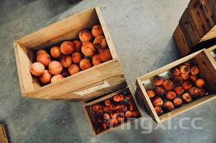 补血补气吃什么最快最好,补血补气吃什么最快最好的食物